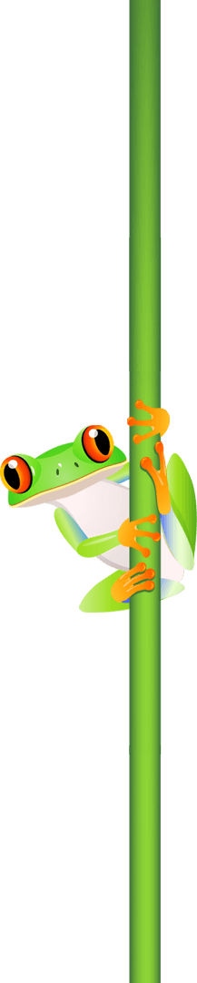 Frog Right